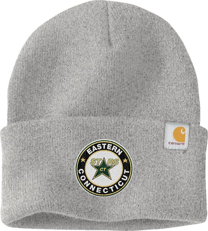 CT ECHO Stars Carhartt Watch Cap 2.0