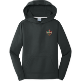 Delaware Ducks Youth Performance Fleece Pullover Hooded Sweatshirt