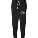 NJ Titans Breakaway Fall Fleece Adult Jogger Pants